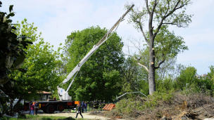 Piattaforma cede durante lavori di potatura: morti due operai di 51 e 69 anni, un terzo di 25 ferito gravemente