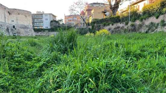 Fratelli d'Italia: "Pesaro Capitale della Cultura 2024 e Rocca Costanza in stato di completo abbandono"