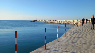 Biancani: "I paletti al porto vanno rimossi, rovinano una delle aree più apprezzate da pesaresi e turisti"