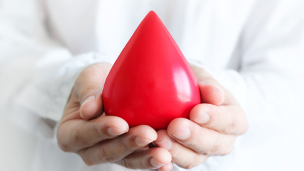 Giornata mondiale del donatore di sangue: tutte le iniziative di Avis Comunale Pesaro