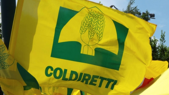 Un terzo del pil agricolo regionale arriva da attività secondarie, Coldiretti Marche: "Siamo terzi in Italia"