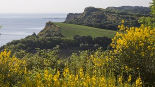 La Riviera del San Bartolo ha la sua navetta gratuita