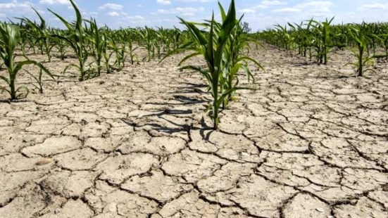 Coldiretti Pesaro Urbino, la campagna boccheggia: "Siccità porta ulteriori spese agli agricoltori"