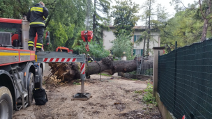 Maltempo a Pesaro, interventi e aggiornamenti (FOTO)