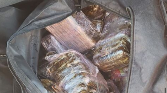 Triplice arresto a Pesaro, in auto 38 chili di hashish