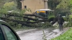 Maltempo a Pesaro, chiuso il sottopasso di Loreto per le forti piogge e Strada dei Colli per caduta albero
