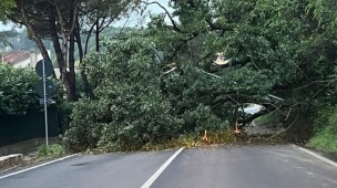 Maltempo: riaperta la Strada Statale 16 tra Pesaro e Fosso Sejore e Strada Monte Ardizio