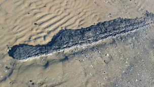 EveryOne Group: "Sulla spiaggia di Pesaro concrezioni accompagnate dalla presenza di idrocarburi liquidi"