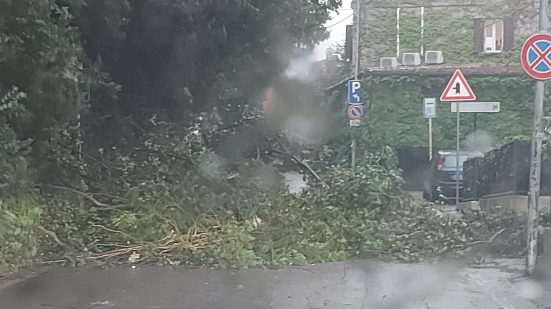 Maltempo a Pesaro: alberi caduti e interventi in corso, massima attenzione