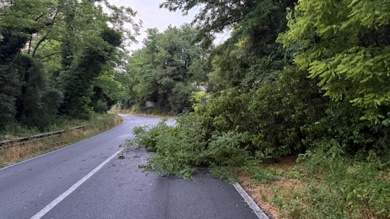 Maltempo nel Pesarese: oltre 30 interventi della Provincia per alberi caduti e strade chiuse