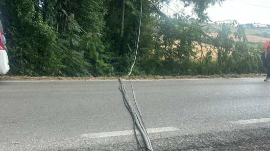 Santa Maria dell’Arzilla, camion trancia cavo Telecom: residenti senza rete fino a lunedì