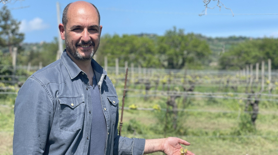 Tagli alla PAC, Di Sante (Coldiretti Pesaro Urbino): "Così si condannano le campagne all'abbandono"