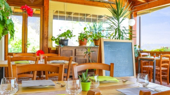 A Urbino il gusto diventa ponte tra culture: torna Food Fusion Estate con un menù dedicato alla Palestina