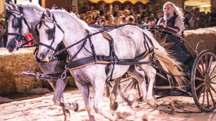 Fano dei Cesari 2025: trionfa la Volpe nella corsa delle bighe, successo per la giornata conclusiva