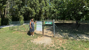 Pesaro, in vigore il nuovo regolamento per le aree di sgambamento cani: norme, divieti e accessi