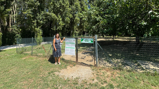 Pesaro, in vigore il nuovo regolamento per le aree di sgambamento cani: norme, divieti e accessi
