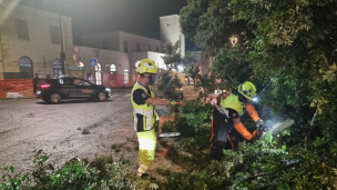 Pesaro, il sindaco Biancani dopo il temporale: “Interventi immediati per liberare le strade e garantire sicurezza”