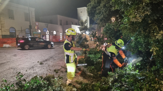 Pesaro, il sindaco Biancani dopo il temporale: “Interventi immediati per liberare le strade e garantire sicurezza”