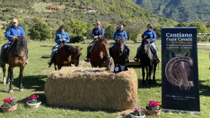 Cantiano Fiera Cavalli 2025: due giornate tra spettacoli equestri, natura e tradizione