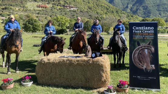 Cantiano Fiera Cavalli 2025: due giornate tra spettacoli equestri, natura e tradizione