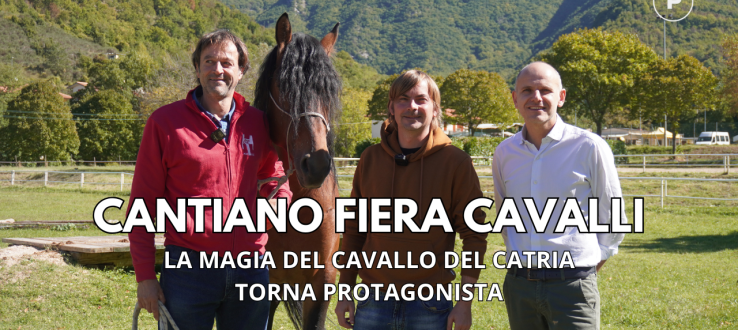 Cantiano Fiera Cavalli 2025: la magia del Cavallo del Catria torna protagonista