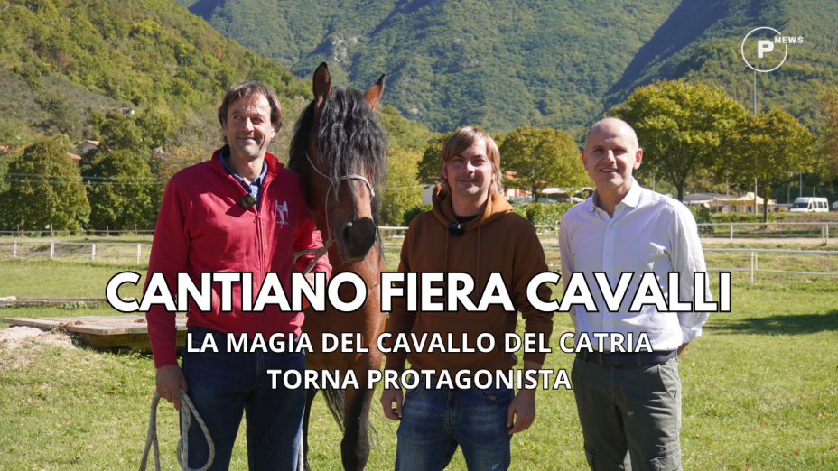 Cantiano Fiera Cavalli 2025: la magia del Cavallo del Catria torna protagonista