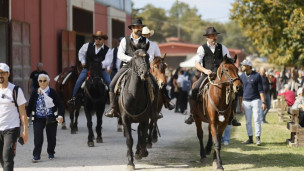 Grande successo per Cantiano Fiera Cavalli: migliaia di visitatori alla 46ª edizione