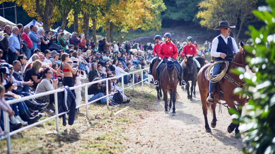 Cantiano Fiera Cavalli: domenica la seconda e ultima giornata tra spettacoli, natura e turismo sostenibile