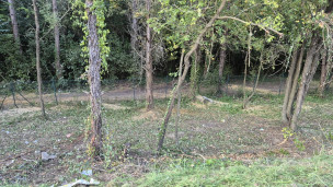 Pesaro, Della Dora: "Il Parco Miralfiore verrà chiuso nelle ore notturne"