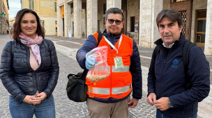 Pesaro dichiara guerra ai piccioni: al via la distribuzione di mangime anticoncezionale
