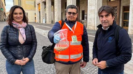 Pesaro dichiara guerra ai piccioni: al via la distribuzione di mangime anticoncezionale