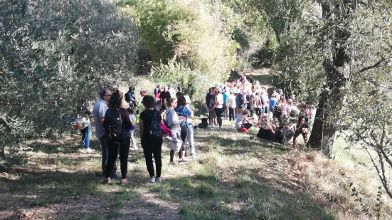 Monteciccardo celebra la "Camminata tra gli Olivi": un'edizione dedicata alla Pace e all'"oro verde"
