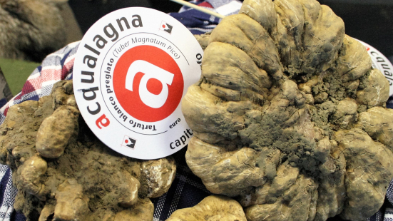 Acqualagna celebra 60 anni di Fiera Internazionale del Tartufo Bianco: un traguardo di eccellenza tra gusto, cultura e innovazione
