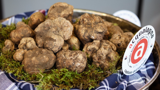 Acqualagna inaugura la 60esima Fiera Internazionale del Tartufo Bianco: tradizione e respiro europeo
