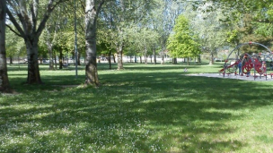 Pesaro, la Guardia di Finanza scopre spaccio di droga nei pressi del campo da rugby e del parco Scarpellini