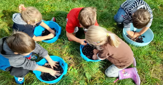 Pesaro celebra i 100 anni della scuola dell’infanzia Borgo Pantano con un plauso ufficiale