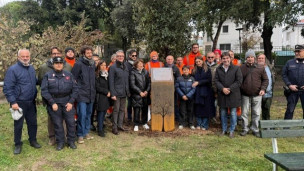 Un leccio in memoria dell'agronomo Vittorio Vagnini al Parco Molaroni di Pesaro