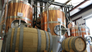 BAM 2025 porta le Marche al centro della cultura brassicola italiana