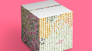 BOOM chiude la quarta edizione: a Fermignano arte, cibo e creatività guardano al futuro