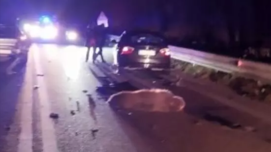 Orso bruno marsicano investito e ucciso sulla statale