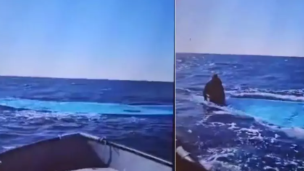 Alarm Phone: “Temiamo un nuovo naufragio, 116 vittime al largo della Tunisia”