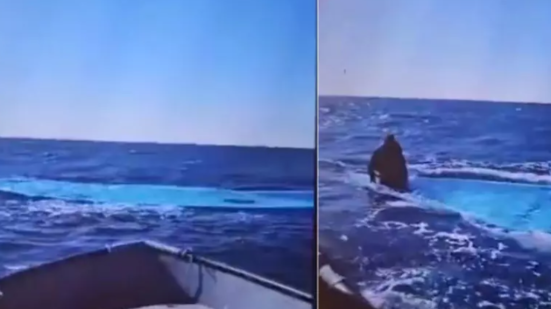 Alarm Phone: “Temiamo un nuovo naufragio, 116 vittime al largo della Tunisia”