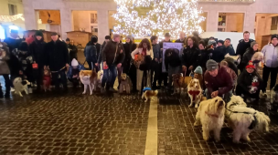 Natale Insieme Amico Cane, Pesaro celebra 35 anni di solidarietà