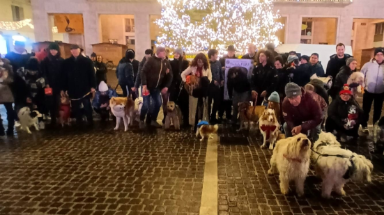 Natale Insieme Amico Cane, Pesaro celebra 35 anni di solidarietà