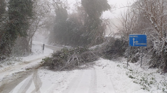 Neve sulle strade provinciali: mezzi in azione nel Pesarese, circolazione regolare