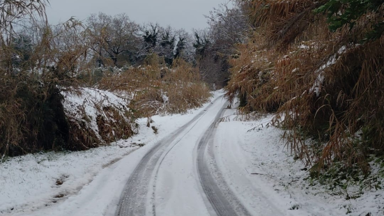 Fano, proseguono gli interventi per ripristinare la viabilità e la normalità dopo la neve