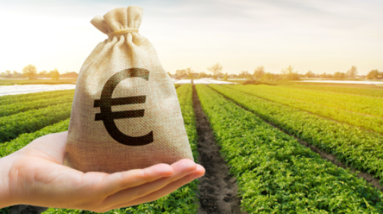Fondi europei all’agricoltura: scongiurata la perdita di 51 milioni nelle Marche