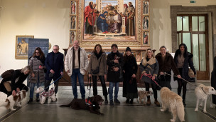 Al museo con l’amico a quattro zampe, la proposta arriva in Consiglio comunale a Pesaro