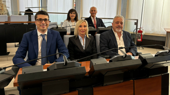 Partecipate di Pesaro, Fratelli d’Italia interroga il sindaco sulla nomina di Frenquellucci in Cosmob