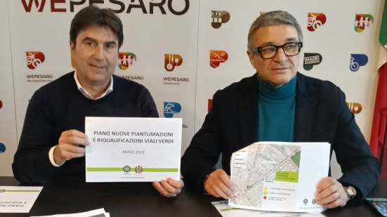 Pesaro, al via il piano delle nuove piantumazioni: 150 alberi l’anno e la riqualificazione dei viali verdi
